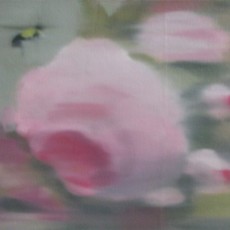 Sherry Kerlin