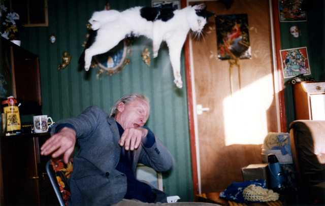 Richard Billingham, ‘Untitled’, 1995, Anthony Reynolds Gallery