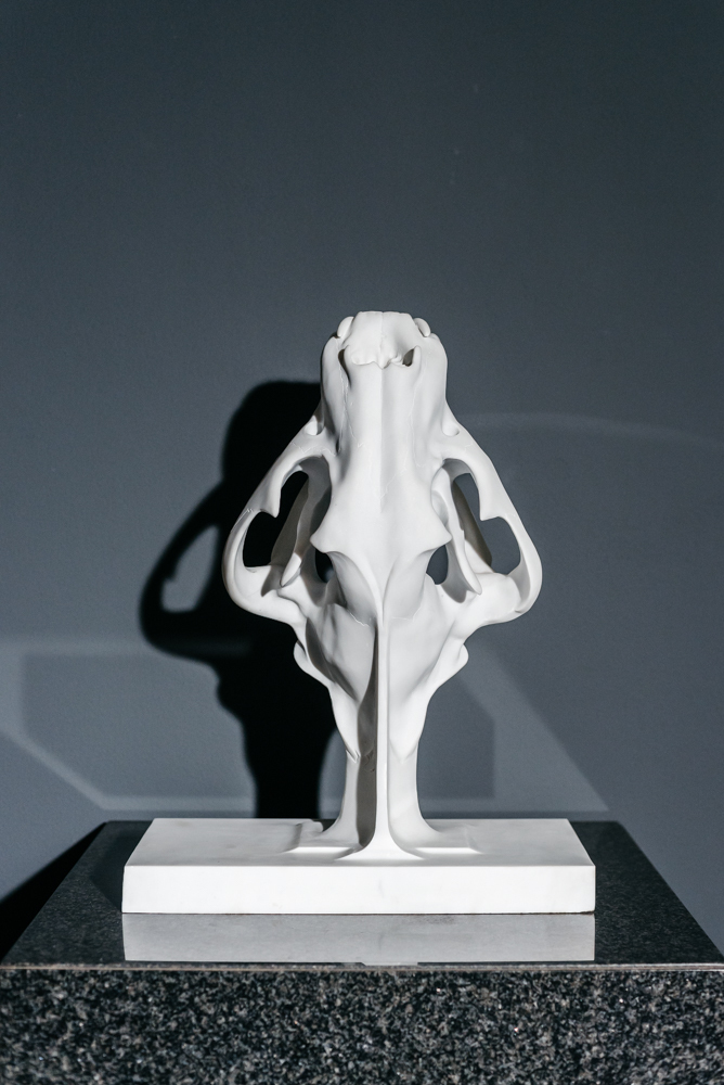 Mia Castro
SCULL OF THE TIGER
Material: white marble P
Dimensions:60x45x23 cm Mia Castro
SCULL OF THE TIGER
Material: white marble P
Dimensions:60x45x23 cm