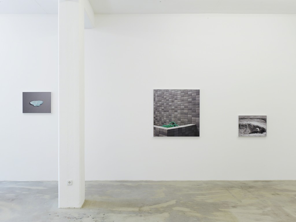 grey cluster, 2014, digital c-print, 62 x 46 cm; 101 x 103 cm; 62 x 46 cm, exhibition view at Klemm's, Berlin 2014 grey cluster, 2014, digital c-print, 62 x 46 cm; 101 x 103 cm; 62 x 46 cm, exhibition view at Klemm's, Berlin 2014