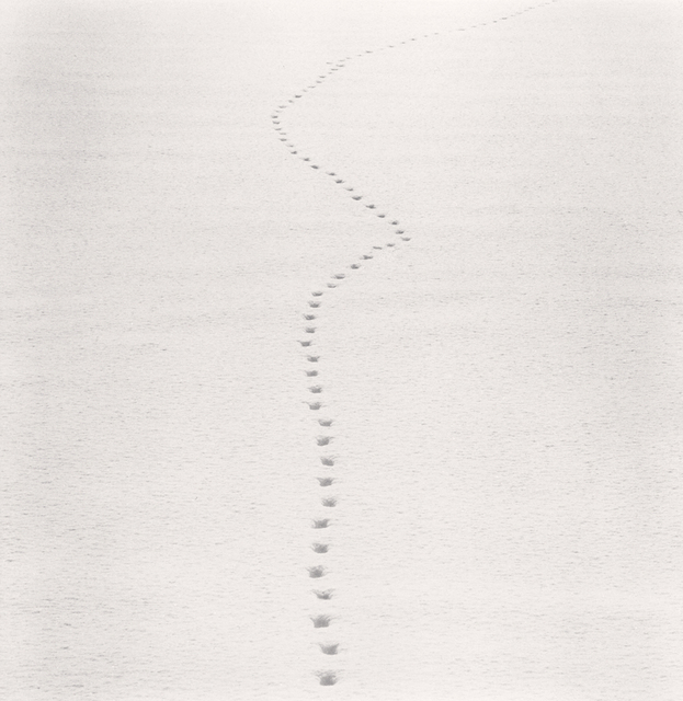 Michael Kenna, ‘Tracks in Snow, Biei, Hokkaido, Japan’, 2013, Robert Mann Gallery