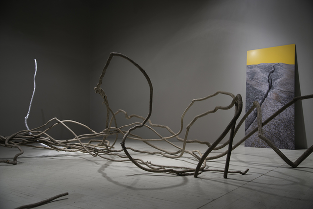 John Ruppert, ‘Bittersweet’, 2017, C. Grimaldis Gallery
