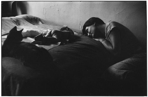 Elliott Erwitt, ‘New York City’, 1953, Jackson Fine Art