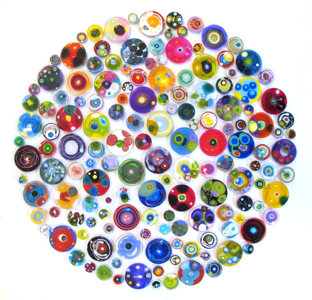 Klari Reis, ‘Hypochondria Multicolored, 150 Pieces’, 2018, Mixed Media, Mixed Media, Petri Dishes, Tee Nuts and Steel Rods, Cynthia Corbett Gallery