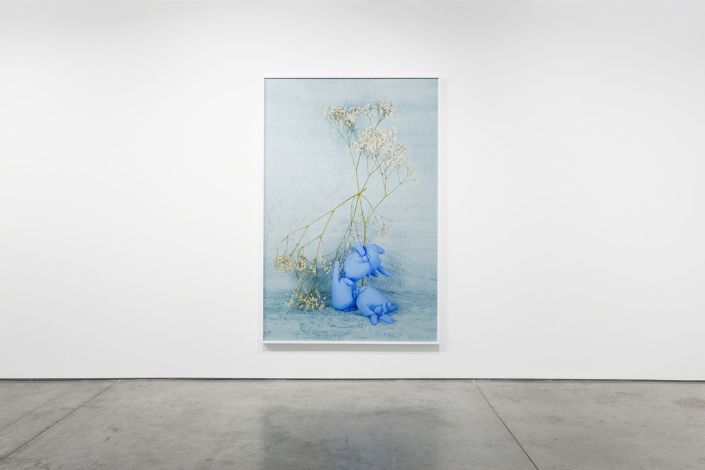 Michelle Bui, Centerfold, 2019, installation view. Michelle Bui, Centerfold, 2019, installation view.