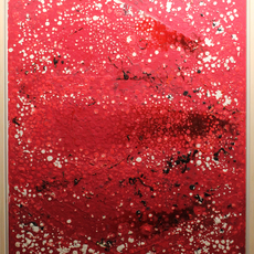 Tadashi Sugimata 杉全 直
