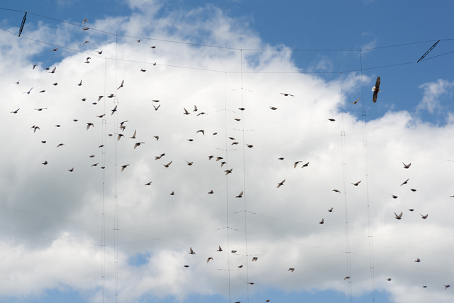 Robert Bean, ‘Etudes (for Marconi) #2’, 2014, Photography, Archival Pigment Print, Circuit Gallery