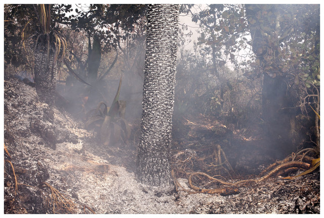 José Luis Cuevas (fotógrafo), ‘Nueva Era: Sin título. ’, 2013, ALMANAQUE fotográfica