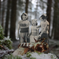 Angeline Martha Maria Gobbens