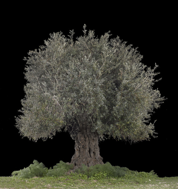 Tal Shochat, ‘Beit Jimal, Black’, 2017, Rosenfeld Gallery