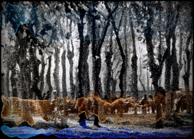 Orhan Cem Çetin, ‘Where have all the frogs gone?’, 2014, Photography, Fine-art pigment print, Sanatorium