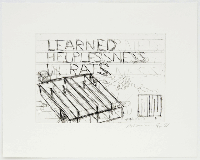 Bruce Nauman, ‘Learned Helplessness In Rats’, 1988, Brooke Alexander, Inc.