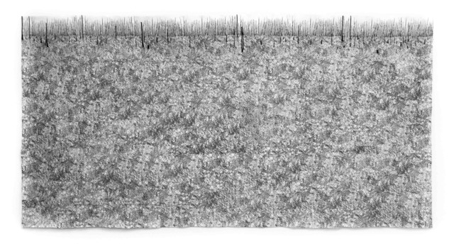 Blane De St. Croix, ‘Charred Swamp: Forest Fire (Florida Everglades)’, 2011, (blank), Collage, archival ink jet prints, ink on paper mounted on canvas, Fredericks & Freiser