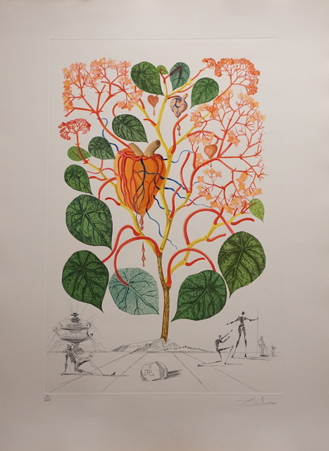Salvador Dalí, ‘Flora Dalinae Begonia’, 1968, Fine Art Acquisitions