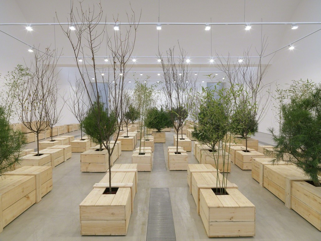 Installation photo of artwork "Ex It" from "Yoko Ono: Golden Ladders" Faurschou Foundation, Beijing (2015). Photo by Jonathan Leijonhufvud © Faurschou Foundation Installation photo of artwork "Ex It" from "Yoko Ono: Golden Ladders" Faurschou Foundation, Beijing (2015). Photo by Jonathan Leijonhufvud © Faurschou Foundation