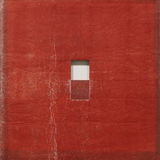 David Ireland