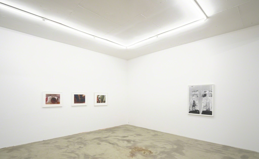 exhibition view 'The Human Apparatus', Jan Groover, Eileen Quinlan, Klemm's, Berlin 2015 exhibition view 'The Human Apparatus', Jan Groover, Eileen Quinlan, Klemm's, Berlin 2015
