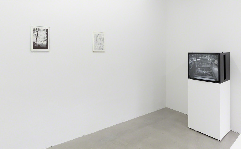 installation view "Birds, Plants and a Chair", Kadel Willborn, Düsseldorf, Germany, 2015 installation view "Birds, Plants and a Chair", Kadel Willborn, Düsseldorf, Germany, 2015