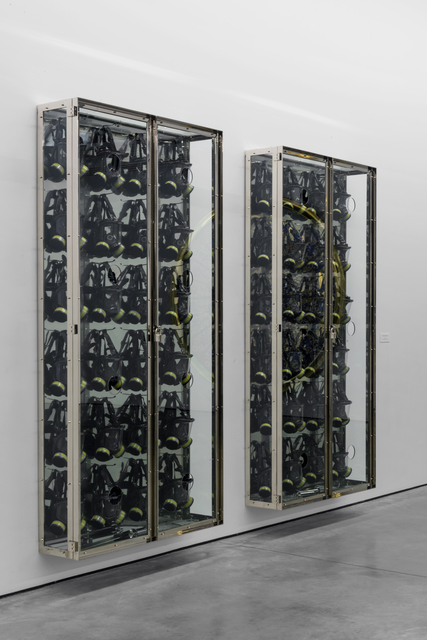 Damien Hirst, ‘Claustrophobia/Agoraphobia ’, 2008, Gary Tatintsian Gallery