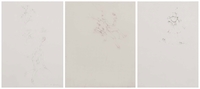 (i) Untitled (ii) Untitled (iii) Untitled
