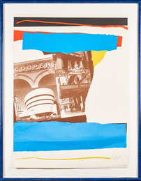 New York Cultural Institutions