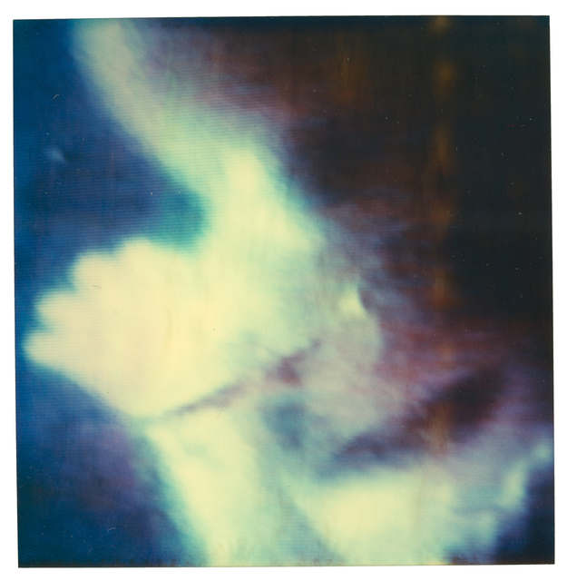Stefanie Schneider, ‘Womb #01’, 2006, Instantdreams