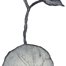Kent Karlsson