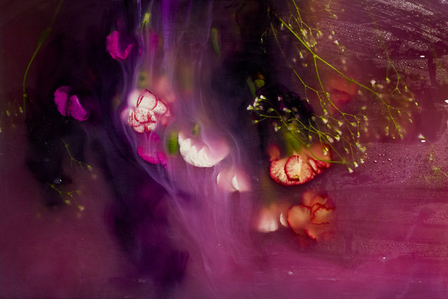 Ashley G. Garner, ‘Purple Experiment’, 2016-2017 Edition, Photography, Aluminum, Wallplay