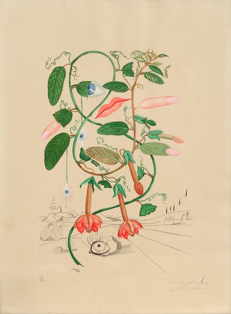 Salvador Dalí, ‘Pisum Sensuale from Flora Dalinae’, 1968, RoGallery