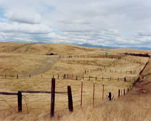 Sharon Lockhart, ‘Cattle Ranch, Tulare County’, 2011, CCA Wattis Institute For Contemporary Arts