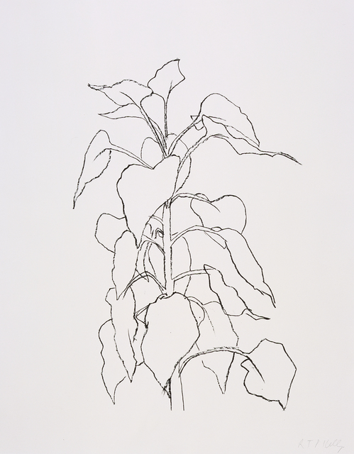 Ellsworth Kelly, ‘Sunflower II’, 2004, Gemini G.E.L. at Joni Moisant Weyl