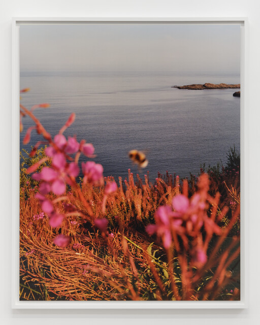 The British Isles | Jamie Hawkesworth ジェイミー・ホークス