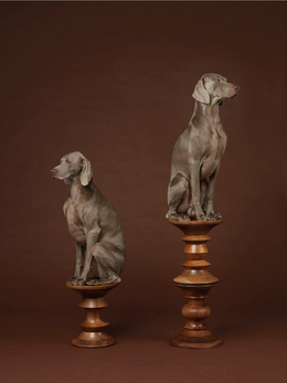 William Wegman, 'Pawns,' 2015, ICI Annual Benefit & Auction 2015