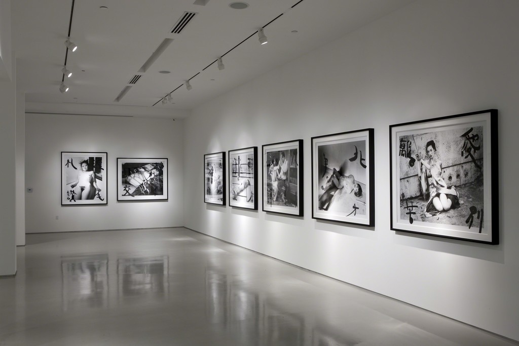 Araki: A Perspective, Installation View Araki: A Perspective, Installation View