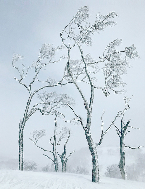 Stephen King 金昌民, ‘Winter Wonderland’, 2017, Alisan Fine Arts