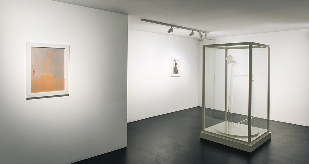 Urs Lüthi & Arnold Mario Dall'O, Exhibition view, Photo: Ulrich Egger Urs Lüthi & Arnold Mario Dall'O, Exhibition view, Photo: Ulrich Egger