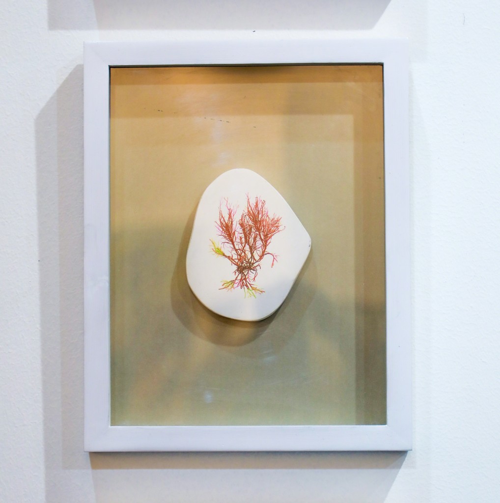 Display View, India Art Fair 2018 Display View, India Art Fair 2018