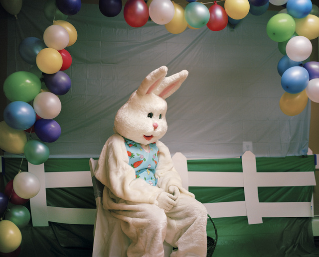 Maureen Drennan, ‘Bunny’, 2015, Kourosh Mahboubian Fine Art