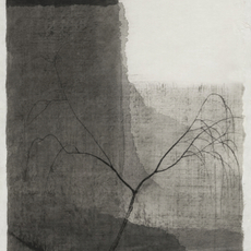 Shen Qin 沈勤