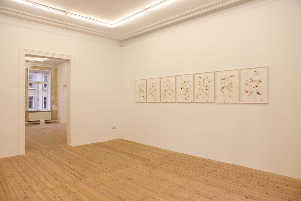 Serena Fineschi, "Valentine’s Day 1-7, Trash Series", 2018, owers on cardboard, water, 60x80 cm Serena Fineschi, "Valentine’s Day 1-7, Trash Series", 2018, owers on cardboard, water, 60x80 cm