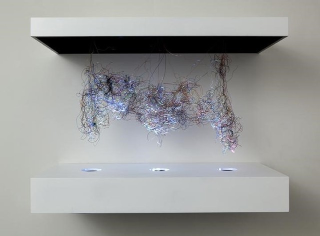 Hipocampo 2 — Daniel Canogar (2010)
