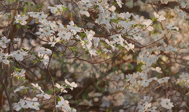 Jeffrey Vaughn, ‘Flowering Dogwood’, 2018, Painting, Oil and acrylic canvas, George Billis Gallery