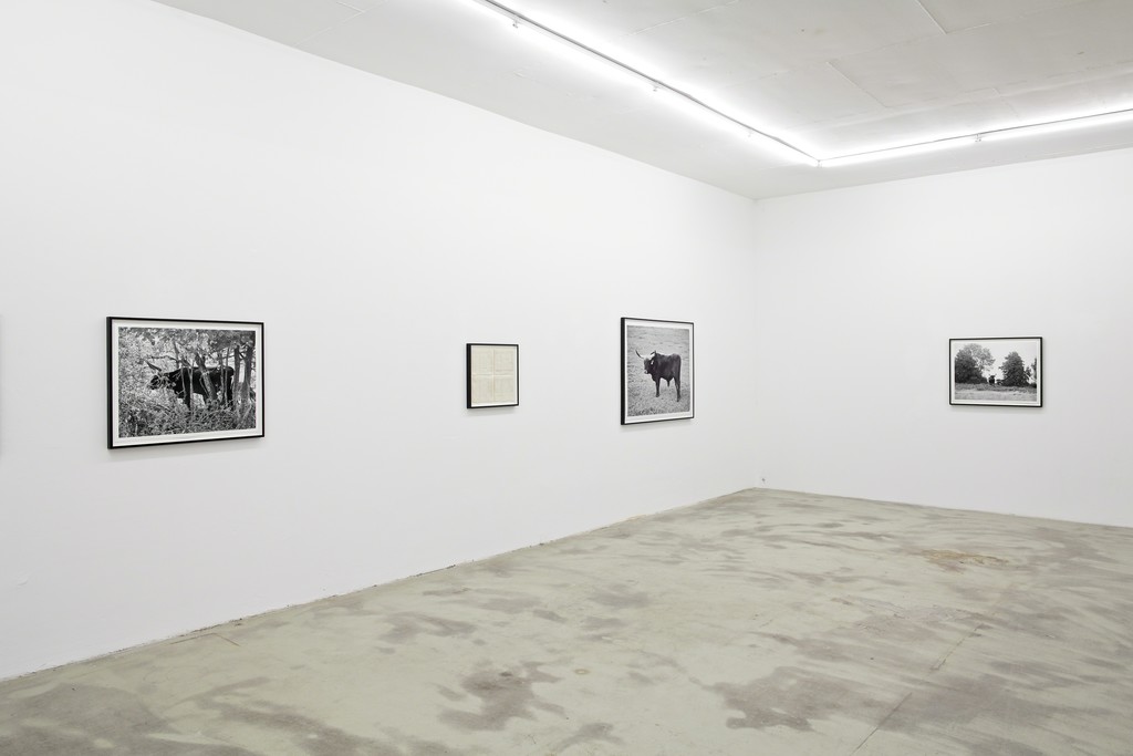 UR, 2015, exhibition view at KLEMM'S Berlin UR, 2015, exhibition view at KLEMM'S Berlin